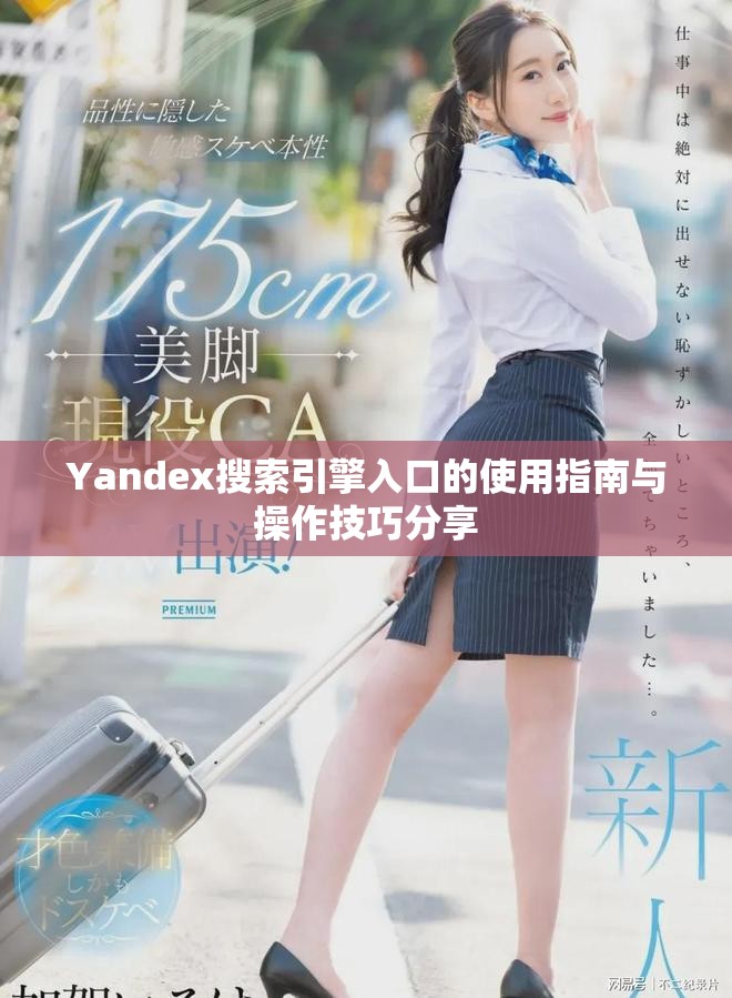 Yandex搜索引擎入口的使用指南與操作技巧分享