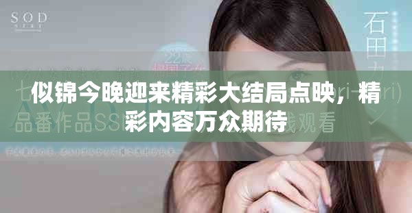 似錦今晚迎來精彩大結局點映，精彩內容萬眾期待