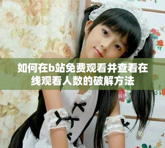 如何在b站免費(fèi)觀看并查看在線觀看人數(shù)的破解方法