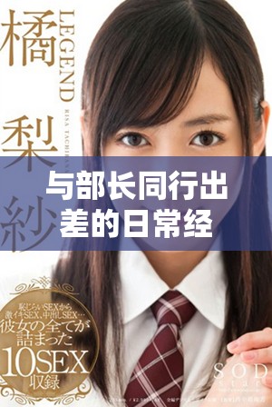 與部長同行出差的日常經歷與見聞分享