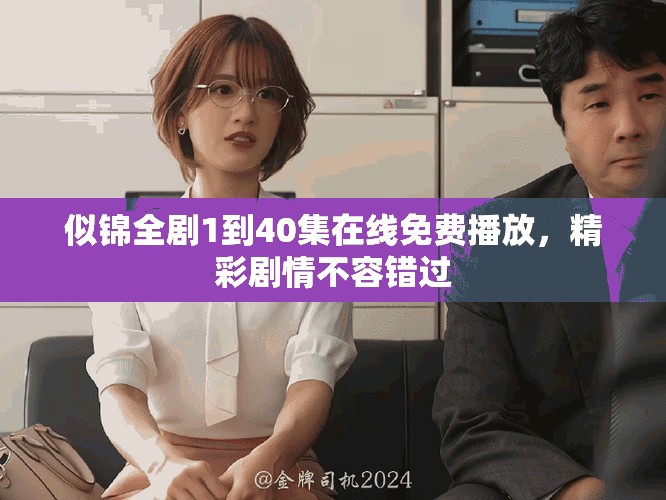似錦全劇1到40集在線免費播放，精彩劇情不容錯過