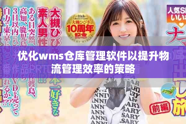 優(yōu)化wms倉庫管理軟件以提升物流管理效率的策略