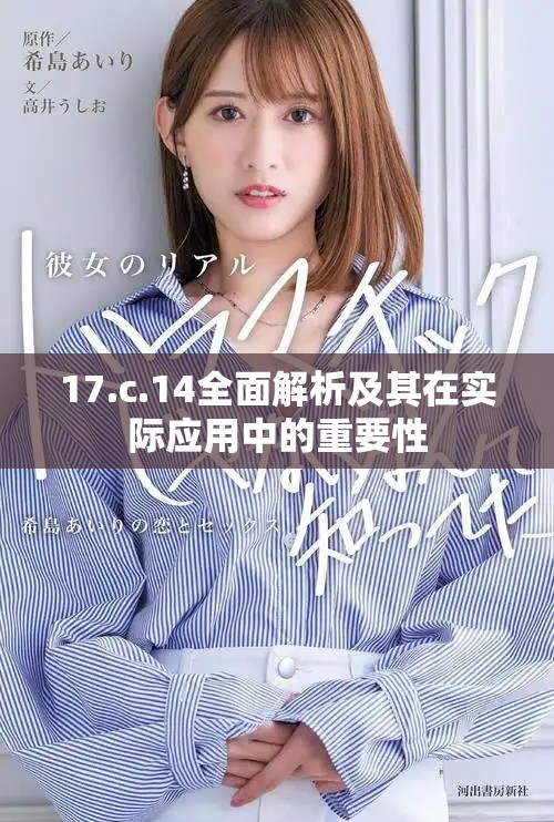 17.c.14全面解析及其在實際應用中的重要性
