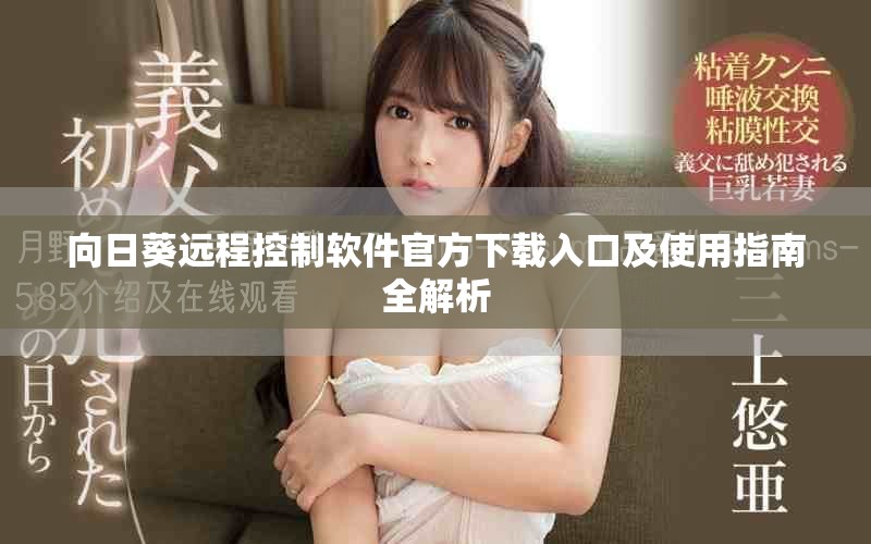 向日葵遠(yuǎn)程控制軟件官方下載入口及使用指南全解析