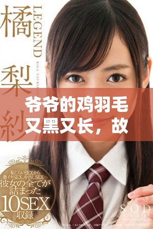 爺爺?shù)碾u羽毛又黑又長(zhǎng)，故事背后的秘密是什么