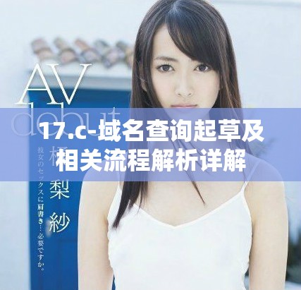 17.c-域名查詢起草及相關(guān)流程解析詳解