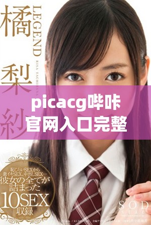 picacg嗶咔官網入口完整指南及使用方法分享