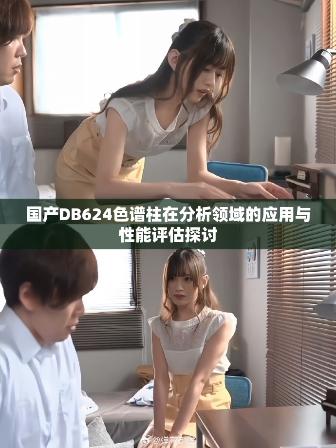 國產DB624色譜柱在分析領域的應用與性能評估探討