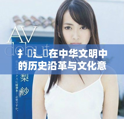 扌喿辶畐在中華文明中的歷史沿革與文化意義探討