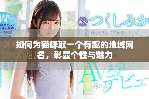 如何為貓咪取一個有趣的地域網(wǎng)名，彰顯個性與魅力