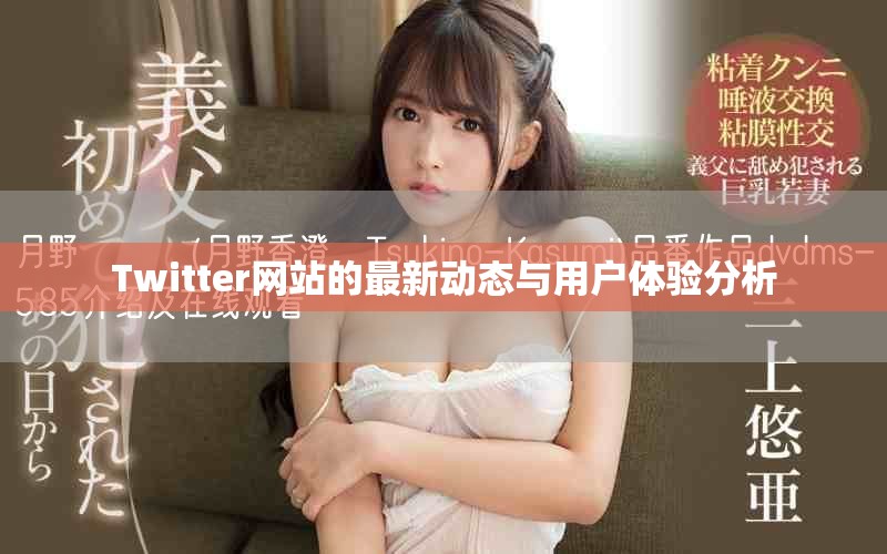 Twitter網站的最新動態與用戶體驗分析