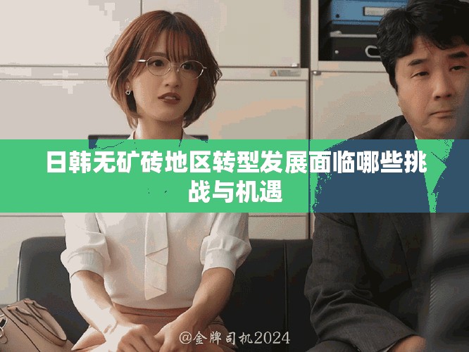 日韓無礦磚地區轉型發展面臨哪些挑戰與機遇