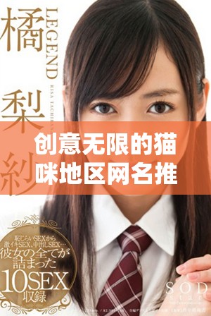 創意無限的貓咪地區網名推薦及取名技巧分享