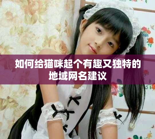 如何給貓咪起個有趣又獨(dú)特的地域網(wǎng)名建議