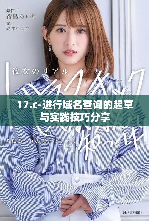 17.c-進行域名查詢的起草與實踐技巧分享