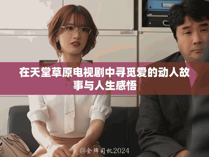 在天堂草原電視劇中尋覓愛的動人故事與人生感悟