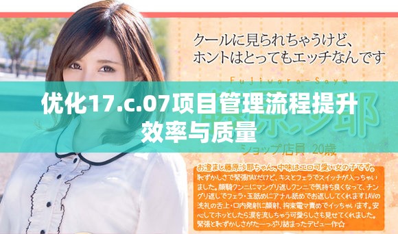 優化17.c.07項目管理流程提升效率與質量