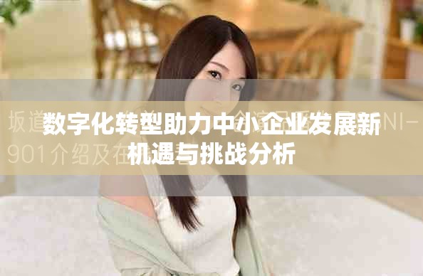 數字化轉型助力中小企業發展新機遇與挑戰分析