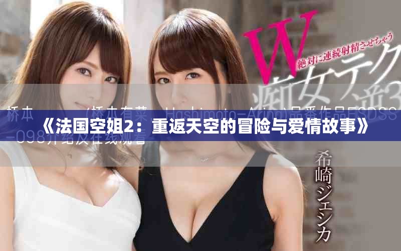 《法國空姐2：重返天空的冒險與愛情故事》