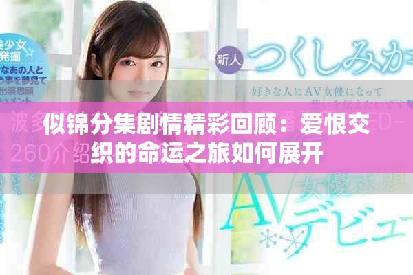 似錦分集劇情精彩回顧：愛恨交織的命運之旅如何展開