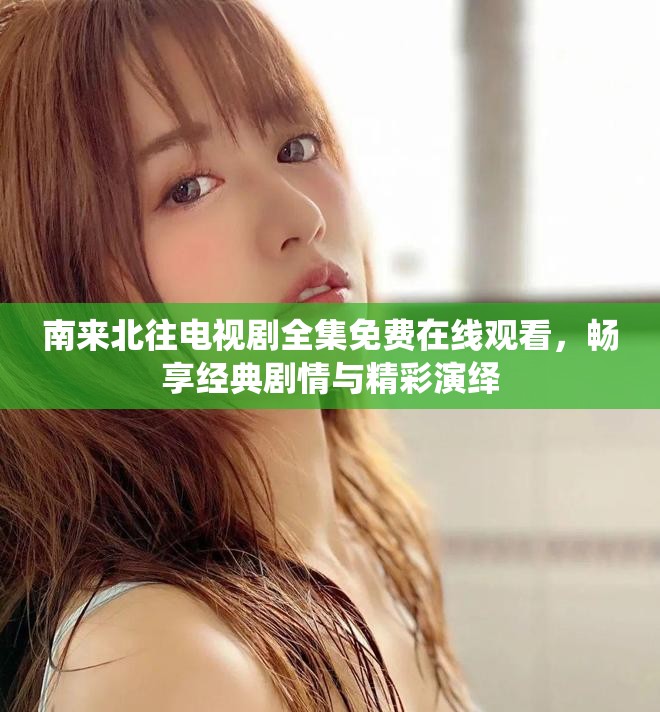 南來北往電視劇全集免費在線觀看，暢享經典劇情與精彩演繹