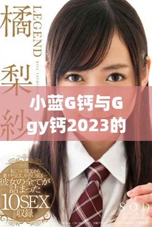 小藍G鈣與Ggy鈣2023的綜合比較分析與應(yīng)用前景