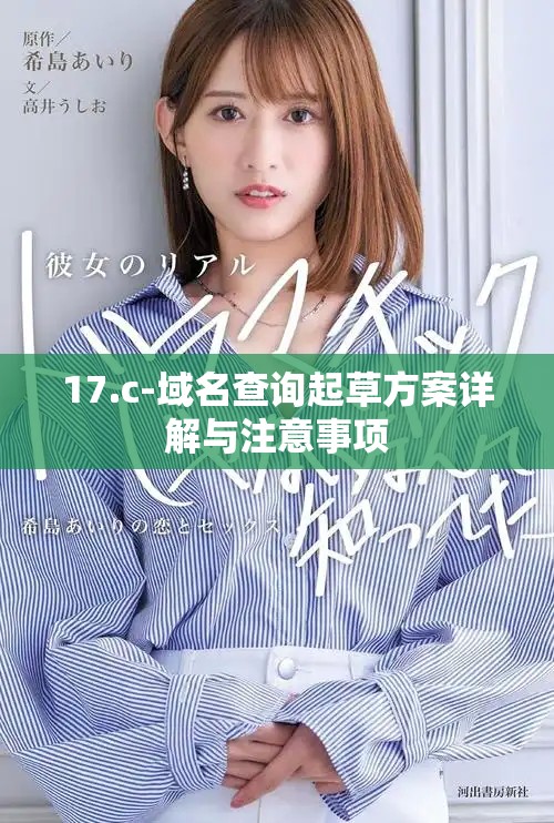 17.c-域名查詢起草方案詳解與注意事項(xiàng)