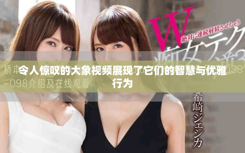 令人驚嘆的大象視頻展現了它們的智慧與優雅行為