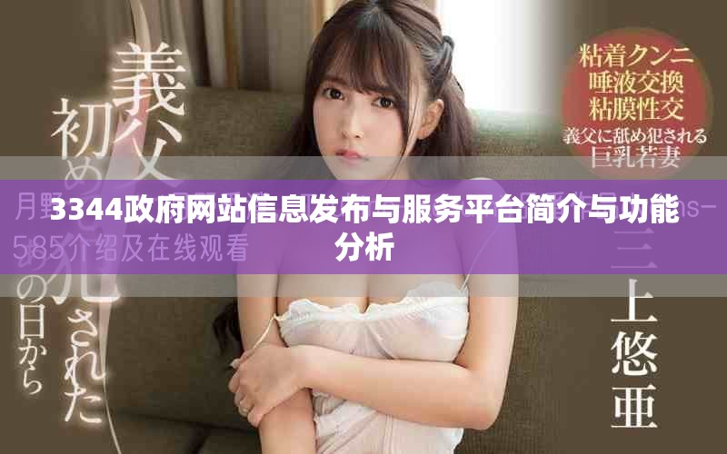 3344政府網(wǎng)站信息發(fā)布與服務(wù)平臺(tái)簡(jiǎn)介與功能分析