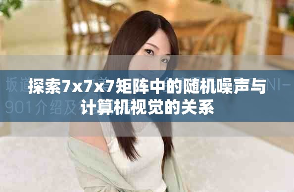 探索7x7x7矩陣中的隨機噪聲與計算機視覺的關系