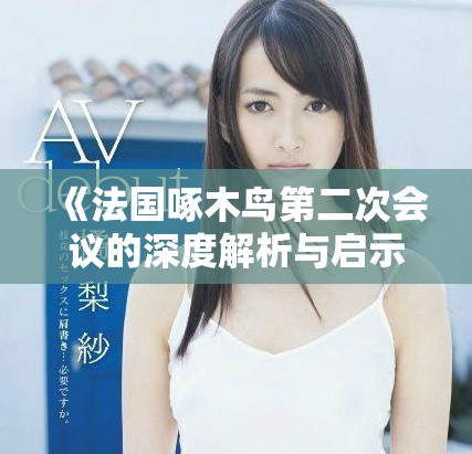 《法國啄木鳥第二次會議的深度解析與啟示》