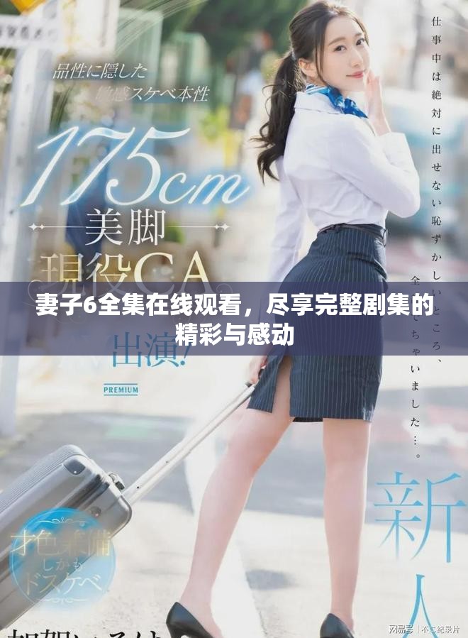 妻子6全集在線觀看，盡享完整劇集的精彩與感動