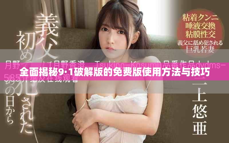 全面揭秘9·1破解版的免費版使用方法與技巧