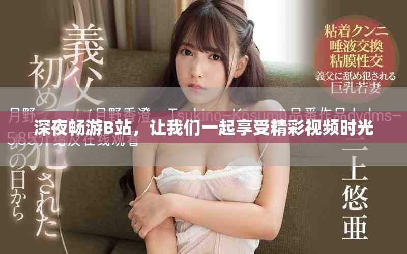 深夜暢游B站，讓我們一起享受精彩視頻時光