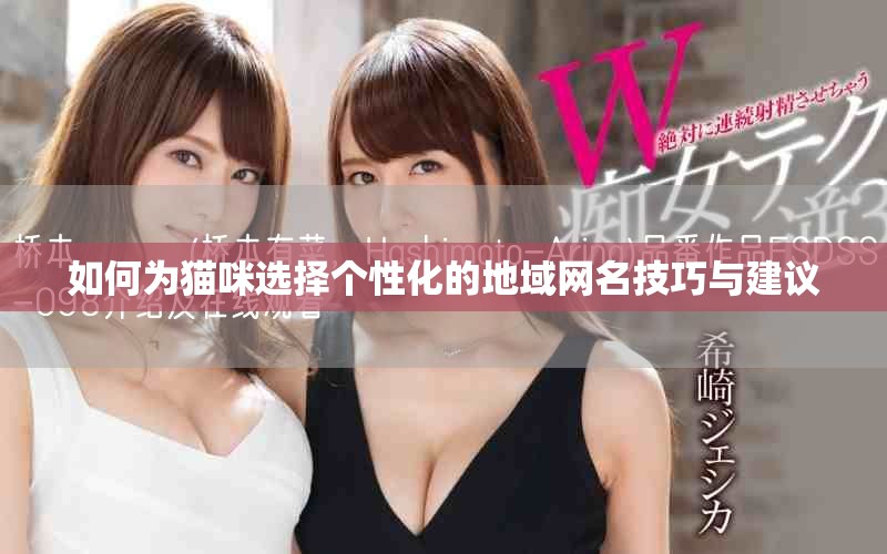 如何為貓咪選擇個性化的地域網名技巧與建議