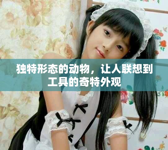 獨(dú)特形態(tài)的動(dòng)物，讓人聯(lián)想到工具的奇特外觀