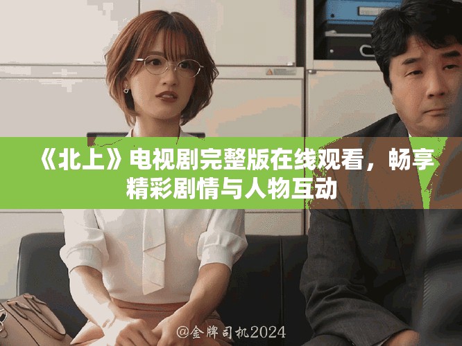 《北上》電視劇完整版在線觀看，暢享精彩劇情與人物互動(dòng)