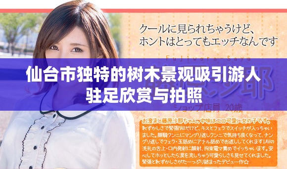 仙臺市獨特的樹木景觀吸引游人駐足欣賞與拍照
