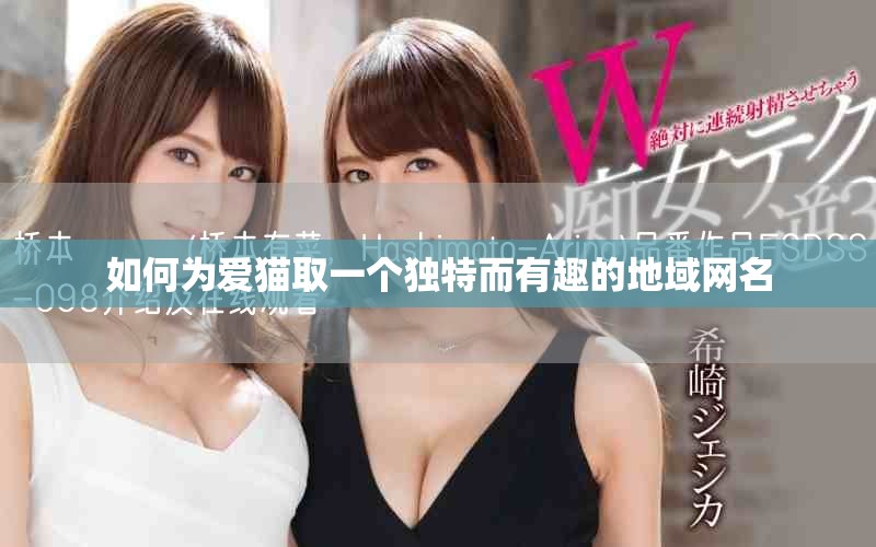 如何為愛貓取一個獨特而有趣的地域網名