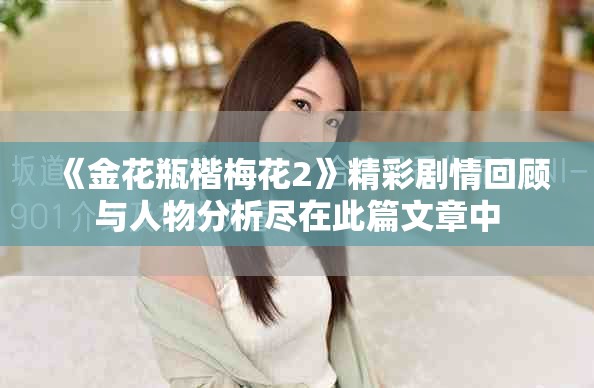 《金花瓶楷梅花2》精彩劇情回顧與人物分析盡在此篇文章中