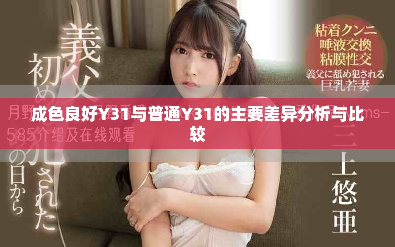 成色良好Y31與普通Y31的主要差異分析與比較