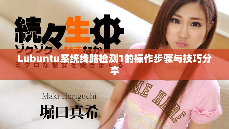 Lubuntu系統(tǒng)線路檢測(cè)1的操作步驟與技巧分享