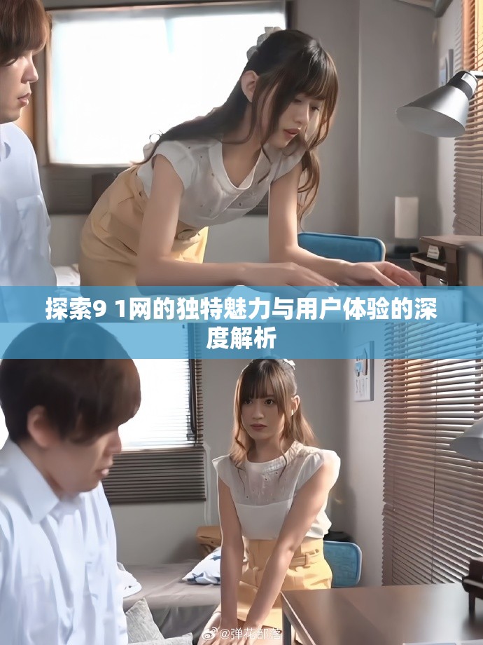 探索9 1網的獨特魅力與用戶體驗的深度解析