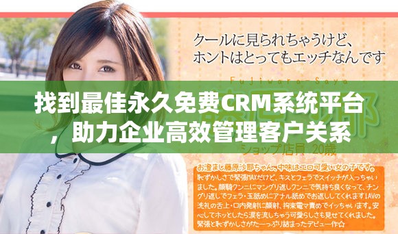 找到最佳永久免費CRM系統平臺，助力企業高效管理客戶關系