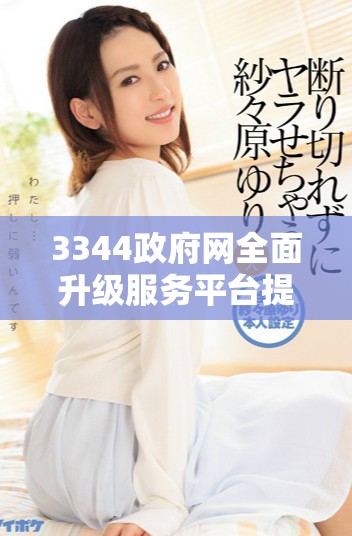 3344政府網全面升級服務平臺提升用戶體驗與信息獲取能力