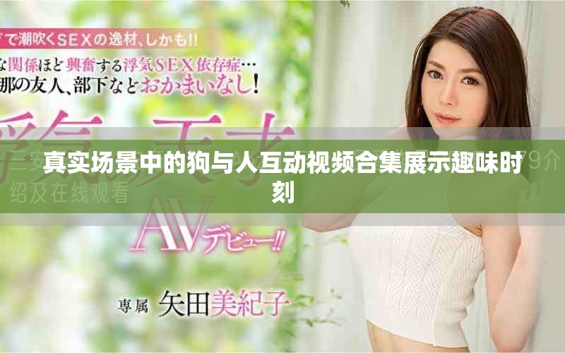 真實場景中的狗與人互動視頻合集展示趣味時刻