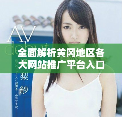 全面解析黃岡地區(qū)各大網(wǎng)站推廣平臺入口匯總網(wǎng)址