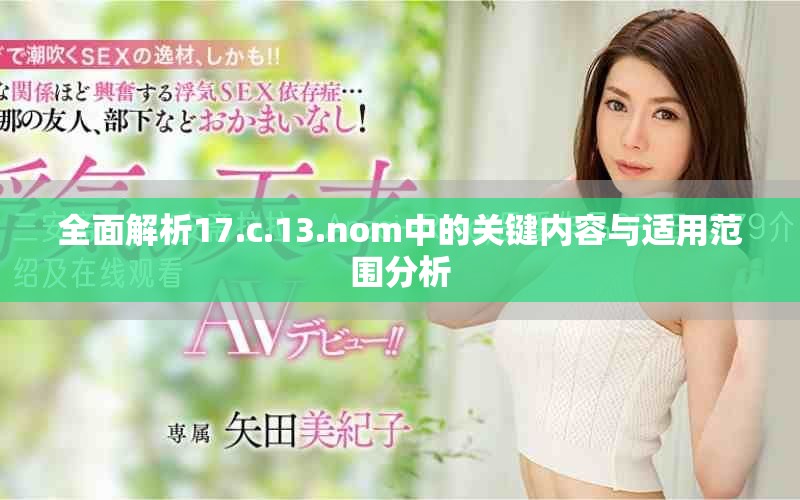 全面解析17.c.13.nom中的關鍵內容與適用范圍分析