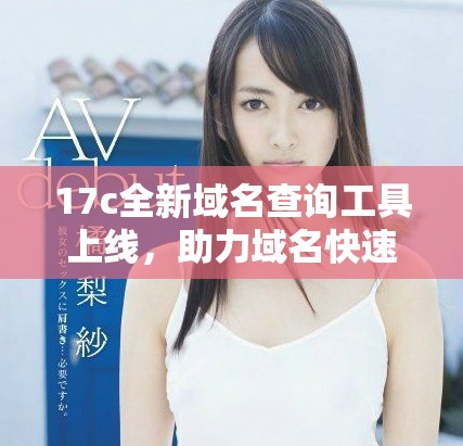 17c全新域名查詢工具上線，助力域名快速搜索