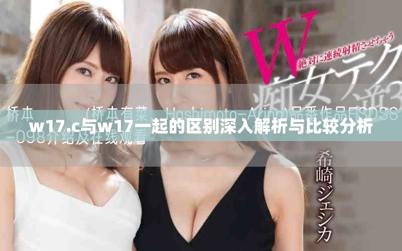 w17.c與w17一起的區(qū)別深入解析與比較分析